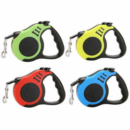 Laisse rétractable automatique de 5 m pour chien