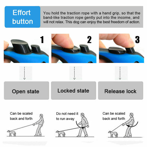 Laisse rétractable automatique de 5 m pour chien