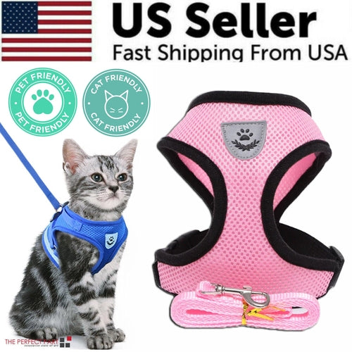 Harnais pour chat et chien