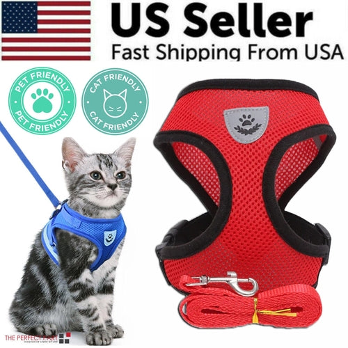 Harnais pour chat et chien
