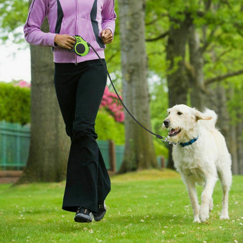 Laisse rétractable automatique de 5 m pour chien