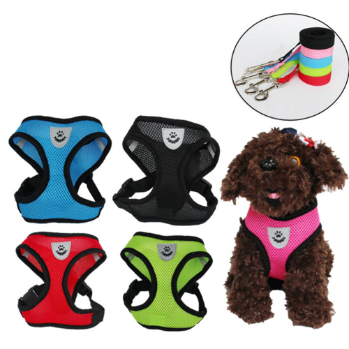 Harnais pour chat et chien
