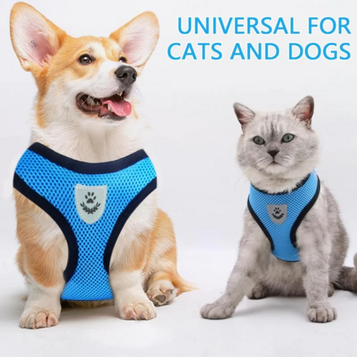 Harnais pour chat et chien
