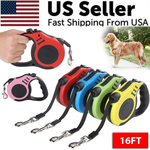 Laisse rétractable automatique de 5 m pour chien