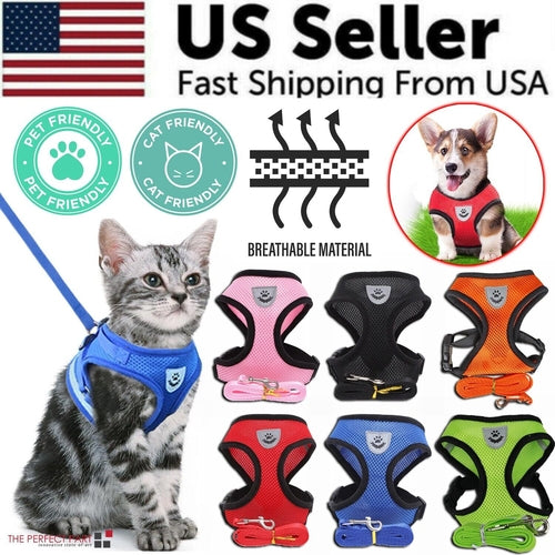 Harnais pour chat et chien