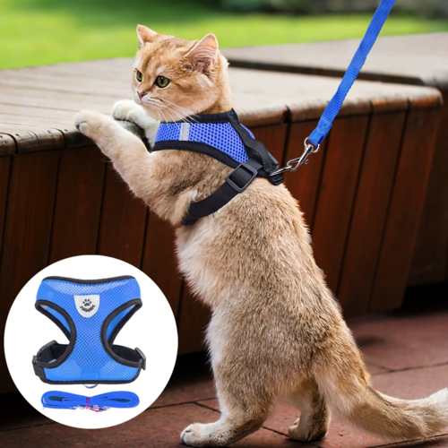 Harnais pour chat et chien