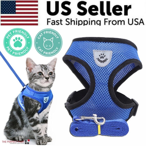 Harnais pour chat et chien