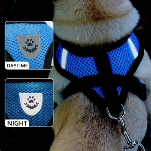 Harnais pour chat et chien
