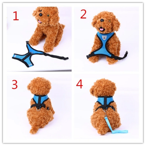 Harnais pour chat et chien