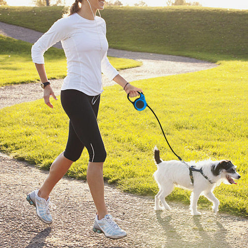 Laisse rétractable automatique de 5 m pour chien
