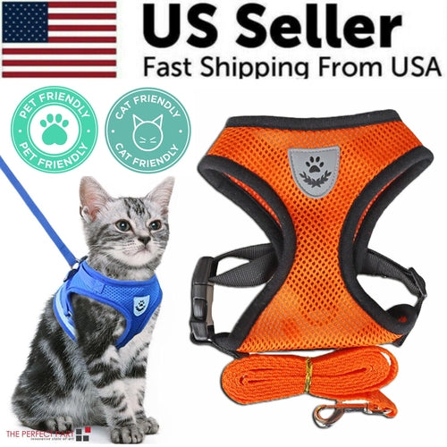 Harnais pour chat et chien