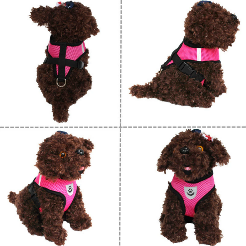 Harnais pour chat et chien