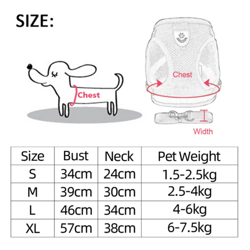 Harnais pour chat et chien