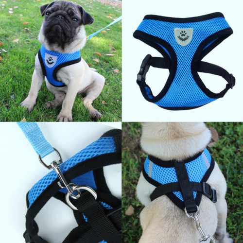 Harnais pour chat et chien