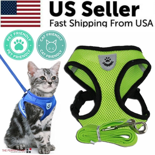 Harnais pour chat et chien