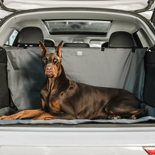 Housse de protection de coffre pour animaux de compagnie