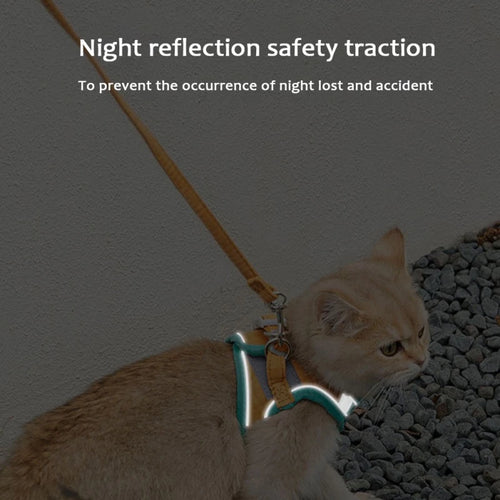 Harnais ajustable pour chat avec laisse