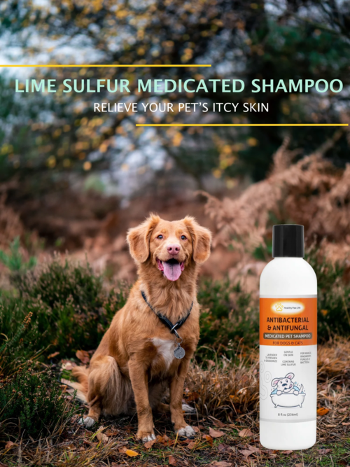 Shampooing au sulfure de chaux pour animaux