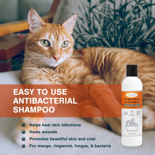 Shampooing au sulfure de chaux pour animaux